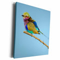 3dRose Botswana, Chobe NP, Lilac-Breasted Roller resting on... - Museum Grade Canvas Wrap (cw_224879)
