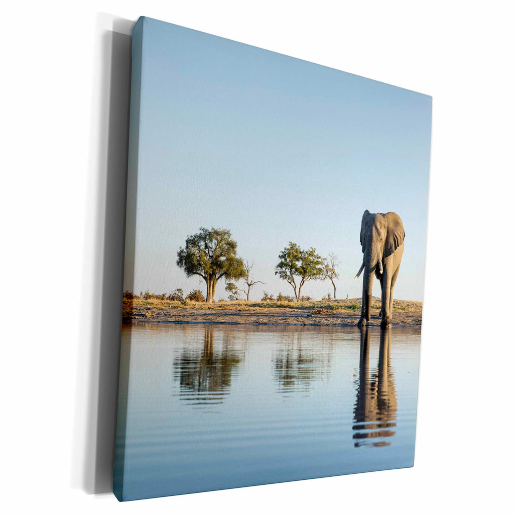 3dRose Botswana, Chobe NP, African Elephant at water hole in... - Museum Grade Canvas Wrap (cw_224885)