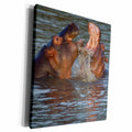 3dRose Two hippos fighting, their jaws open, close-up view - Museum Grade Canvas Wrap (cw_225157)