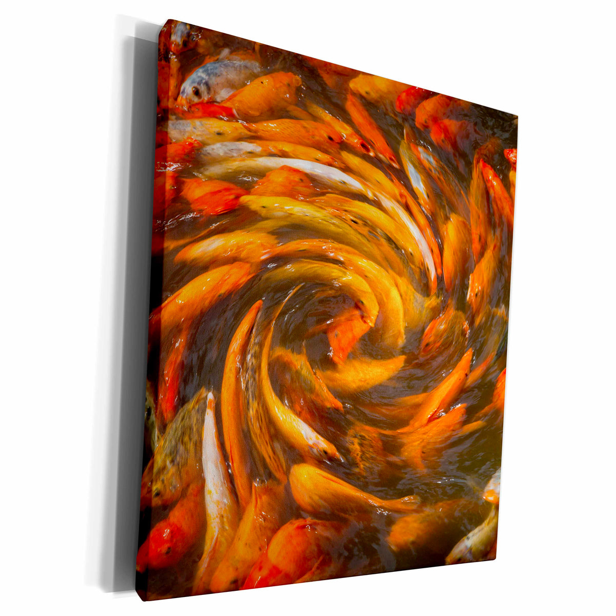 3dRose Koi in circular design and pattern. - Museum Grade Canvas Wrap (cw_225475)