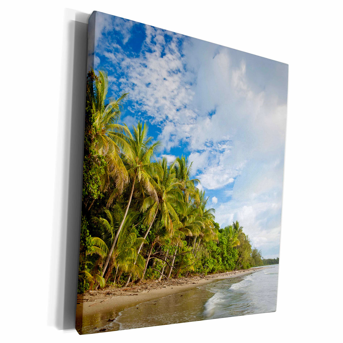 3dRose Cape Tribulation, Daintree National Park, Queensland,... - Museum Grade Canvas Wrap (cw_226226)