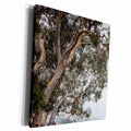 3dRose Australia, Khancoban, landscape with smoke from... - Museum Grade Canvas Wrap (cw_226420)