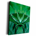 3dRose Canada, Victoria. Green butterfly montage. - Museum Grade Canvas Wrap (cw_226693)