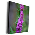 3dRose Canada, Vancouver Island. Foxglove - Museum Grade Canvas Wrap (cw_226819)