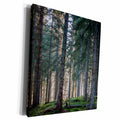 3dRose Germany, Baden-Wurttemberg, Neustadt town, Black... - Museum Grade Canvas Wrap (cw_227398)