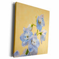 3dRose Netherlands. Delphinium parfait flowers, World... - Museum Grade Canvas Wrap (cw_227739)