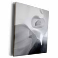 3dRose Black and White Calla Lily - Museum Grade Canvas Wrap (cw_228190)