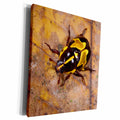 3dRose Ornate Beetle, Coleoptera, Yasuni, Amazon Rainforest,... - Museum Grade Canvas Wrap (cw_228868)