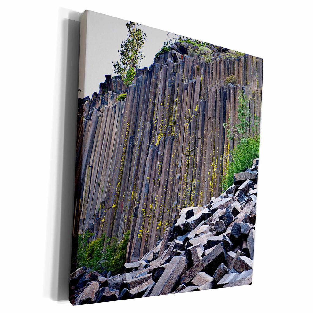 3dRose California, Sierra Nevada, Devils Postpile, Postpile... - Museum Grade Canvas Wrap (cw_229848)