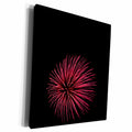 3dRose Danita Delimont - Fireworks - Fireworks - Museum Grade Canvas Wrap (cw_231005)