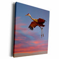 3dRose Sandhill Crane landing at sunset - Museum Grade Canvas Wrap (cw_231285)
