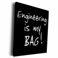 3dRose Engineering is my Bag. Engineer work pride black and... - Museum Grade Canvas Wrap (cw_232163)