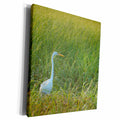 3dRose Ann Euell Birds - Egret - Museum Grade Canvas Wrap (cw_23237)