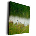 3dRose Ann Euell Birds - Sandpiper - Museum Grade Canvas Wrap (cw_23238)