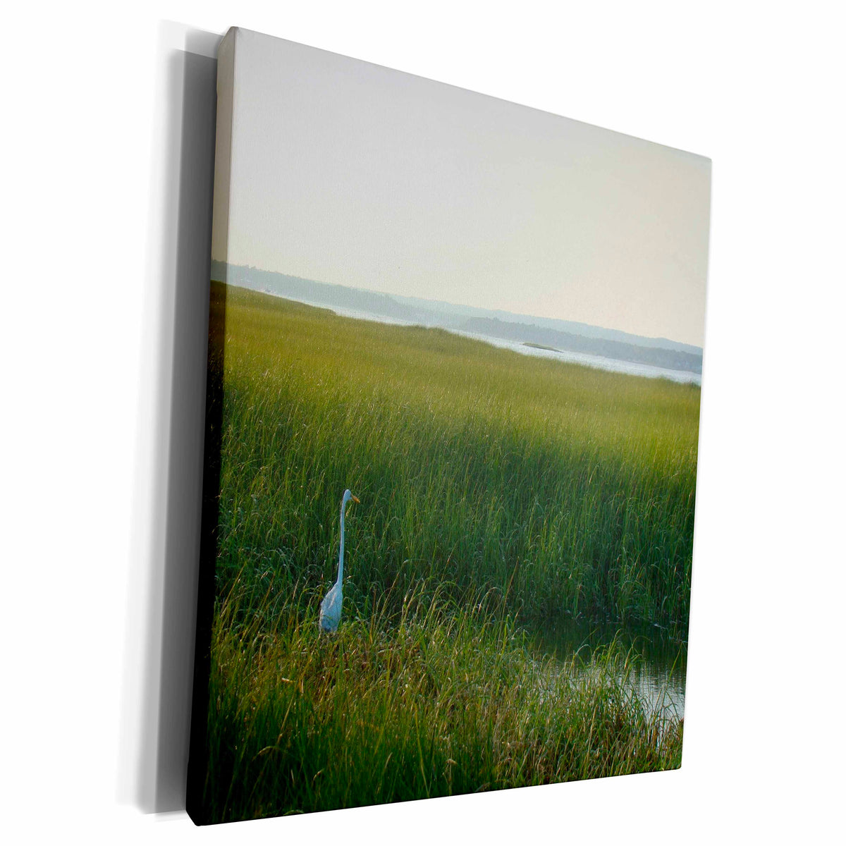 3dRose Ann Euell Birds - Egret in Hamptons - Museum Grade Canvas Wrap (cw_23239)