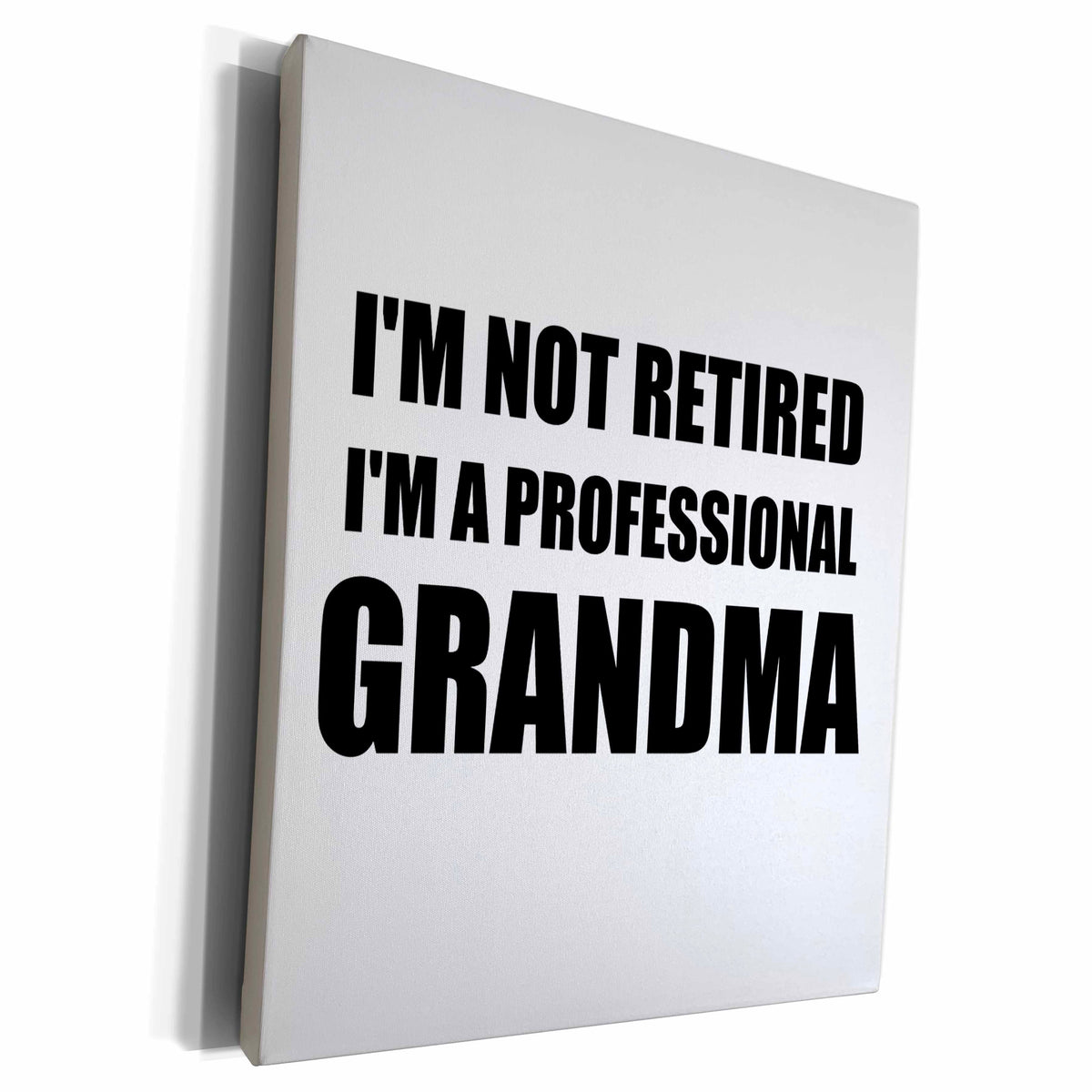 3dRose Im not Retired Im a Professional Grandma - funny... - Museum Grade Canvas Wrap (cw_232487)