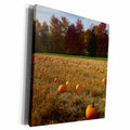 3dRose FALL PUMPKIN PATCH WITH FALL FOLIAGE - Museum Grade Canvas Wrap (cw_232836)