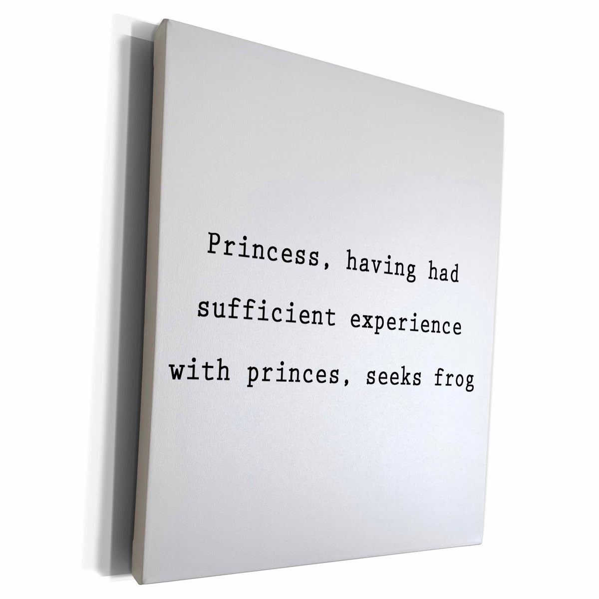 3dRose PRINCESS, HAVING HAD SUFFICIENT EXPERIENCE WITH... - Museum Grade Canvas Wrap (cw_232868)