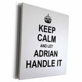 3dRose Keep Calm and Let Adrian Handle it - funny personal... - Museum Grade Canvas Wrap (cw_233173)