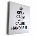 3dRose Keep Calm and Let Caleb Handle it - funny personal... - Museum Grade Canvas Wrap (cw_233206)
