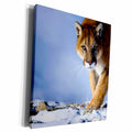 3dRose TNMGraphics Animals - Cougar - Museum Grade Canvas Wrap (cw_23424)
