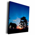 3dRose Sven Herkenrath Nature - Elephant with Sunset - Museum Grade Canvas Wrap (cw_234249)