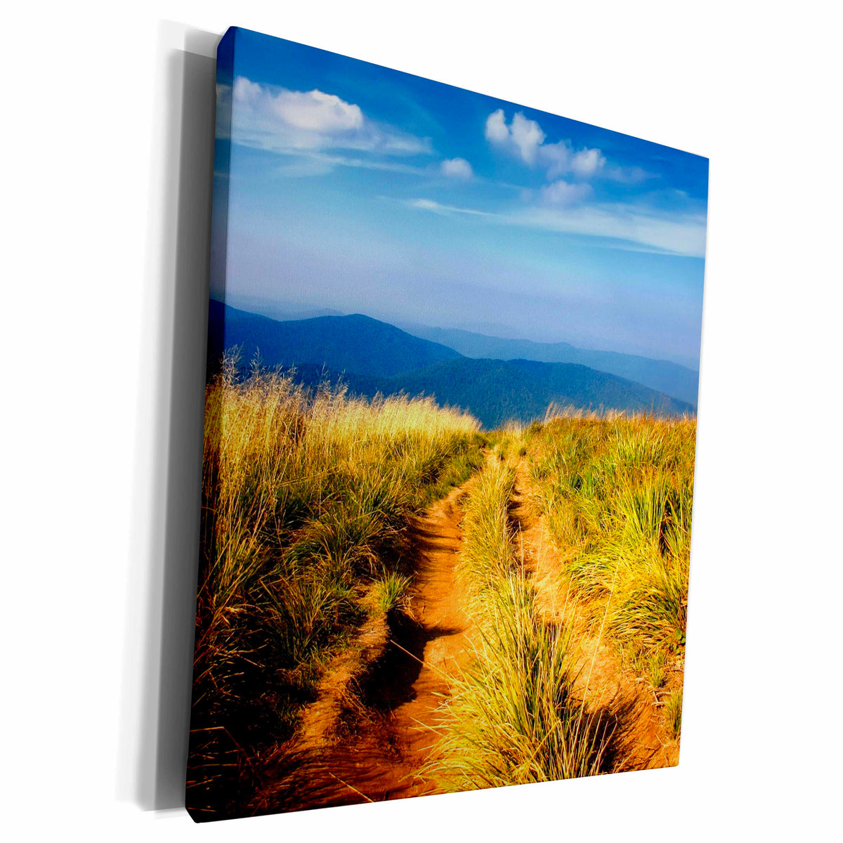 3dRose TNMGraphics Scenic - Road to Nowhere - Museum Grade Canvas Wrap (cw_23474)