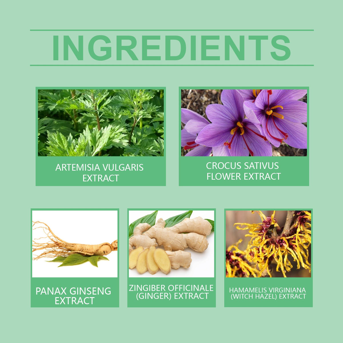 Joint Comfort Care Patch, Herbal Ingredients Gentle Maintenance Nourish Comfortable Joint Care Patch
