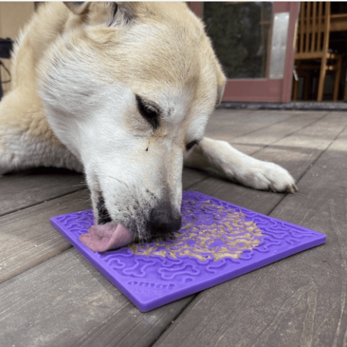 Dog Lick Mats