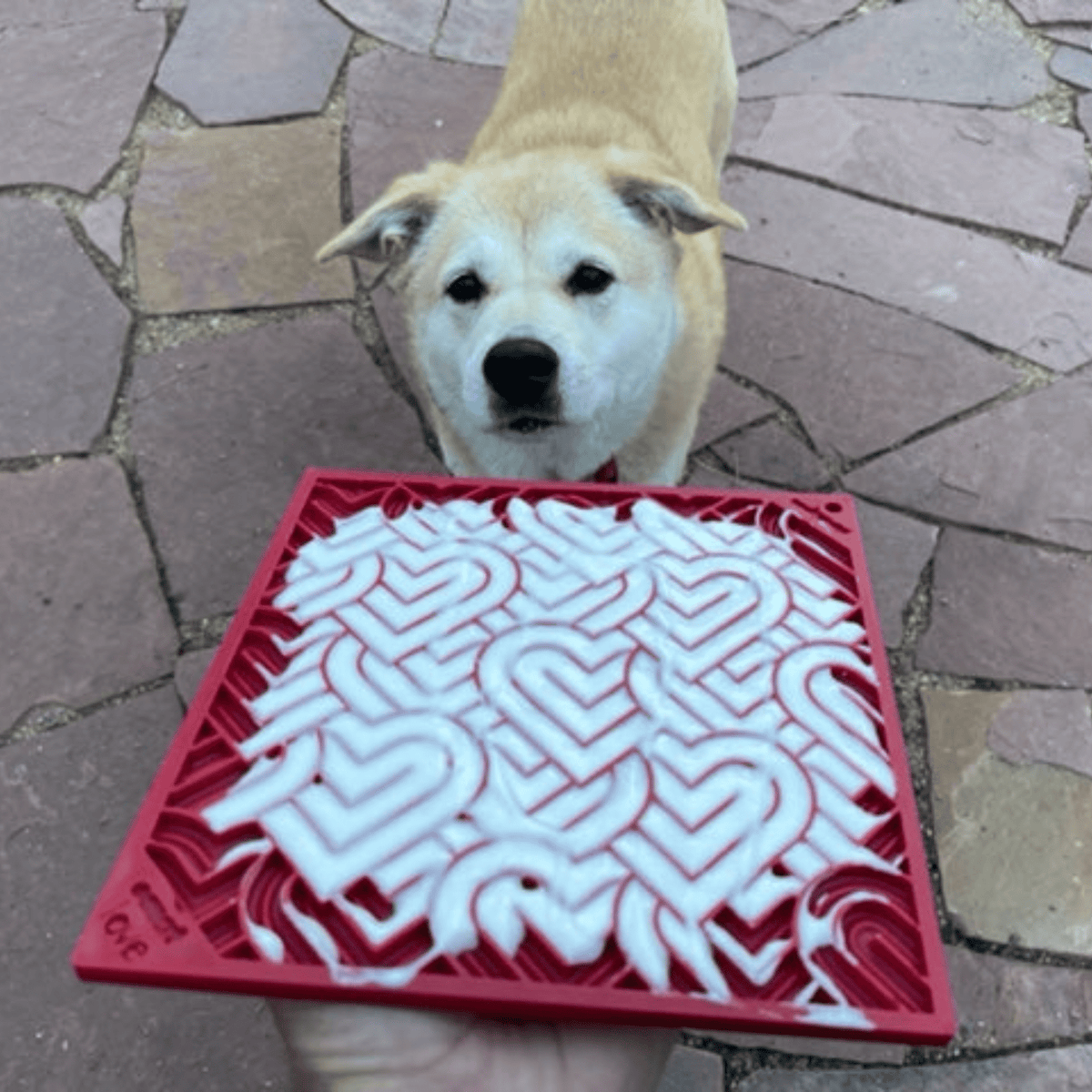 Dog Lick Mats