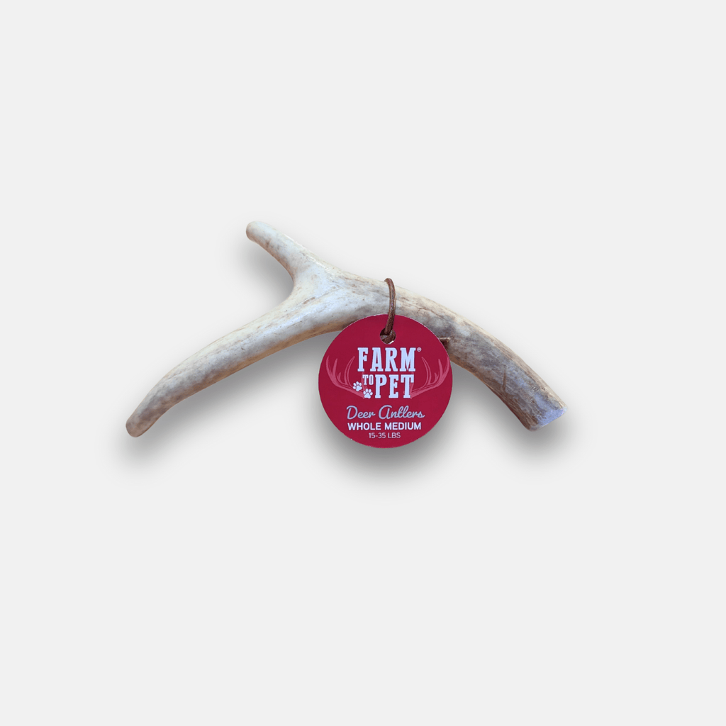 Deer Antler Dog Chews | Organic Chews for Dogs