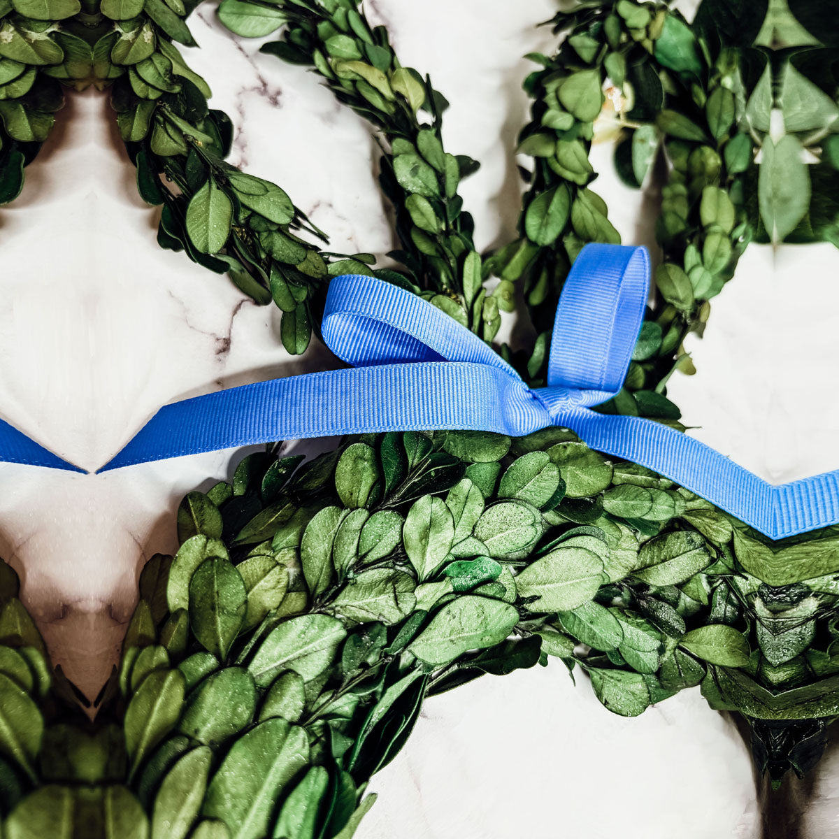 Bunny Wreath Boxwood