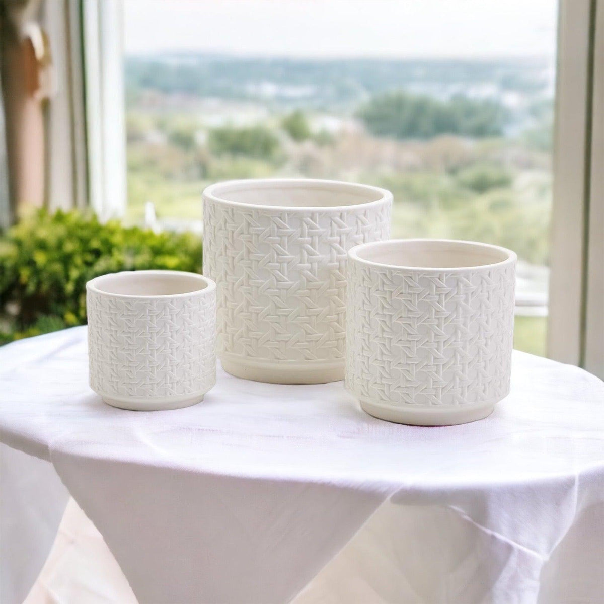 Webbing Planters