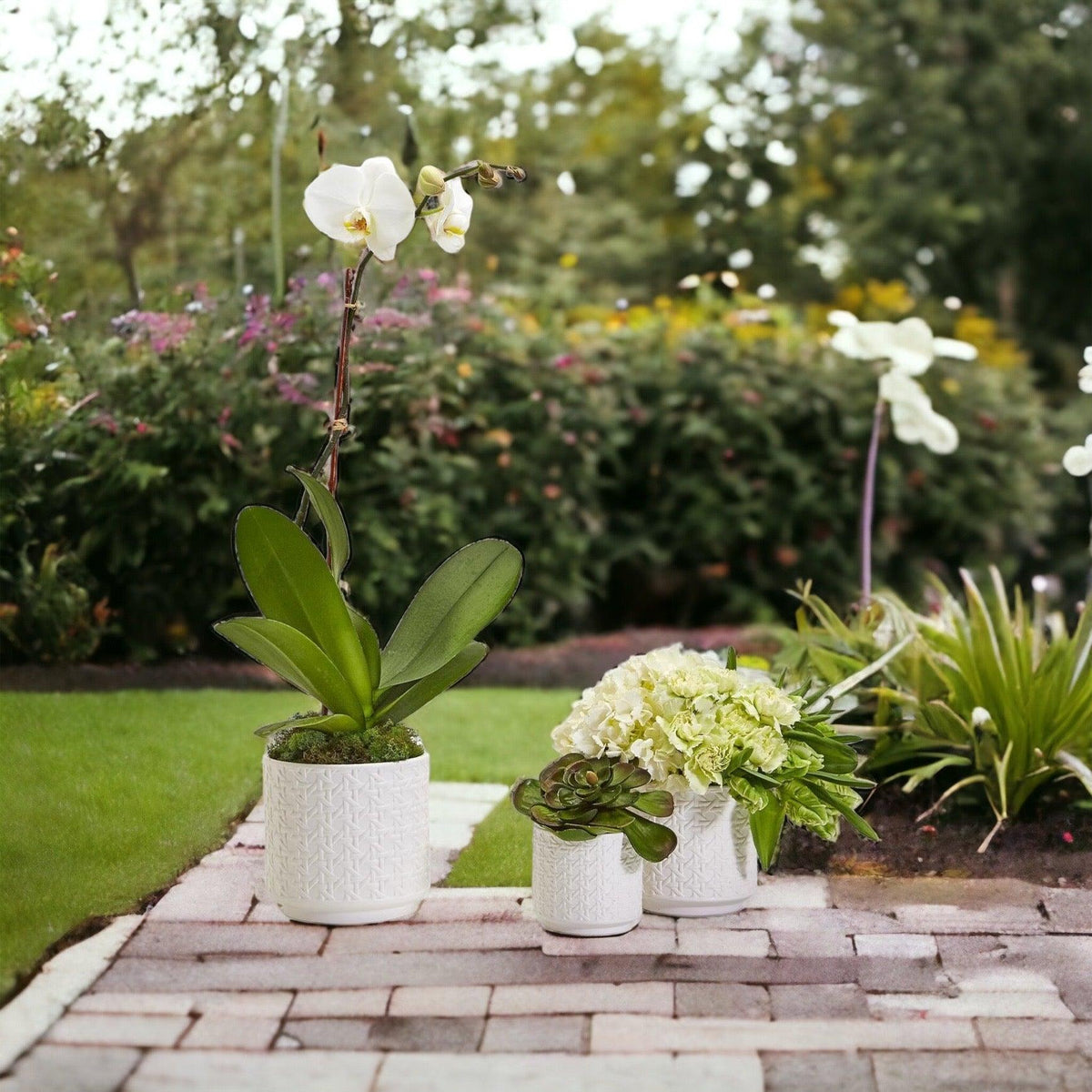 Webbing Planters