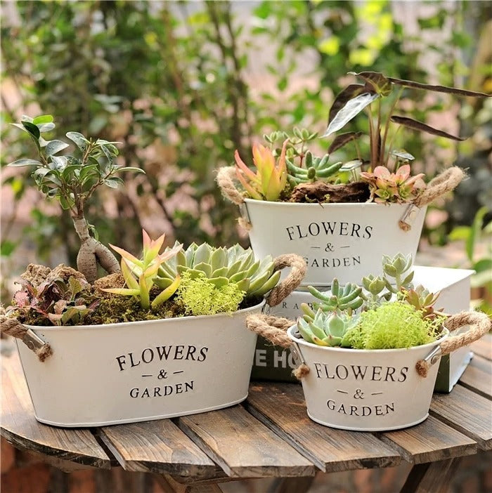 Farmhouse Metal Flower Planters (Oval & Round)