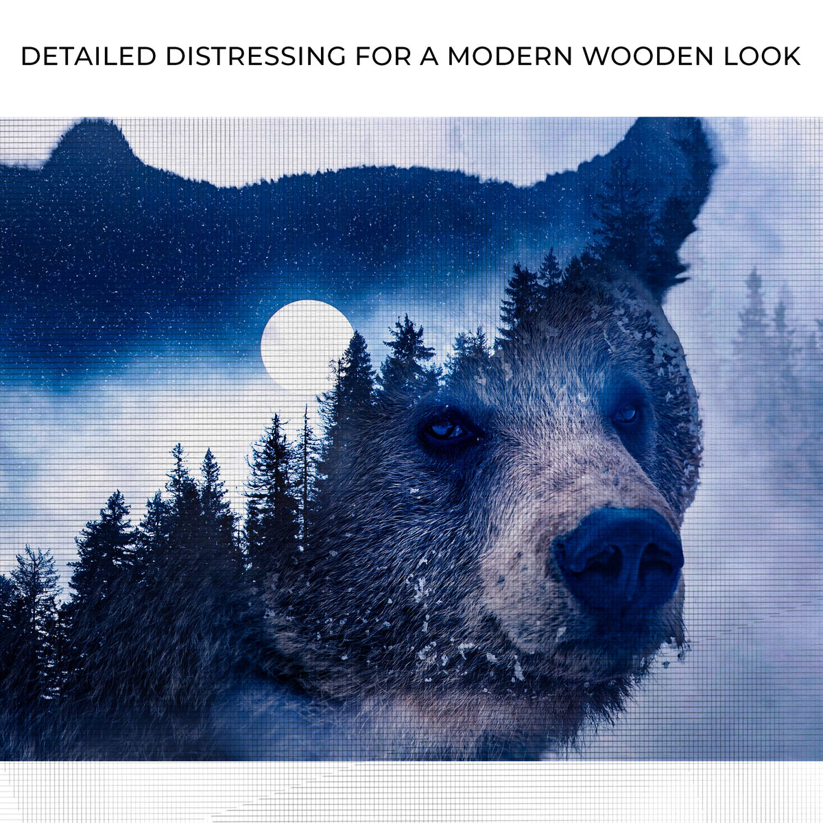 Animals Forest Bear Illustration Canvas Wall Art II