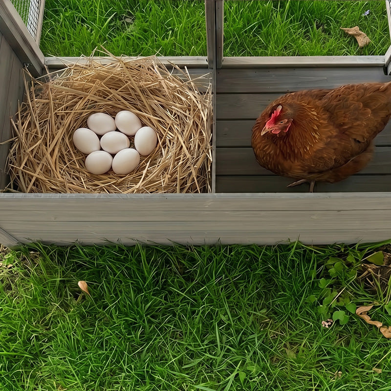 Large Chicken Coop with 20.93 Sq Ft Run - Wooden Outdoor Pen