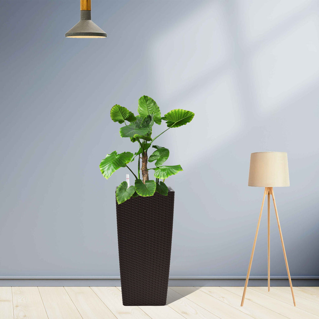 Indoor Outdoor Planter with Automatic Watering System - Dark Brown, Black, or White