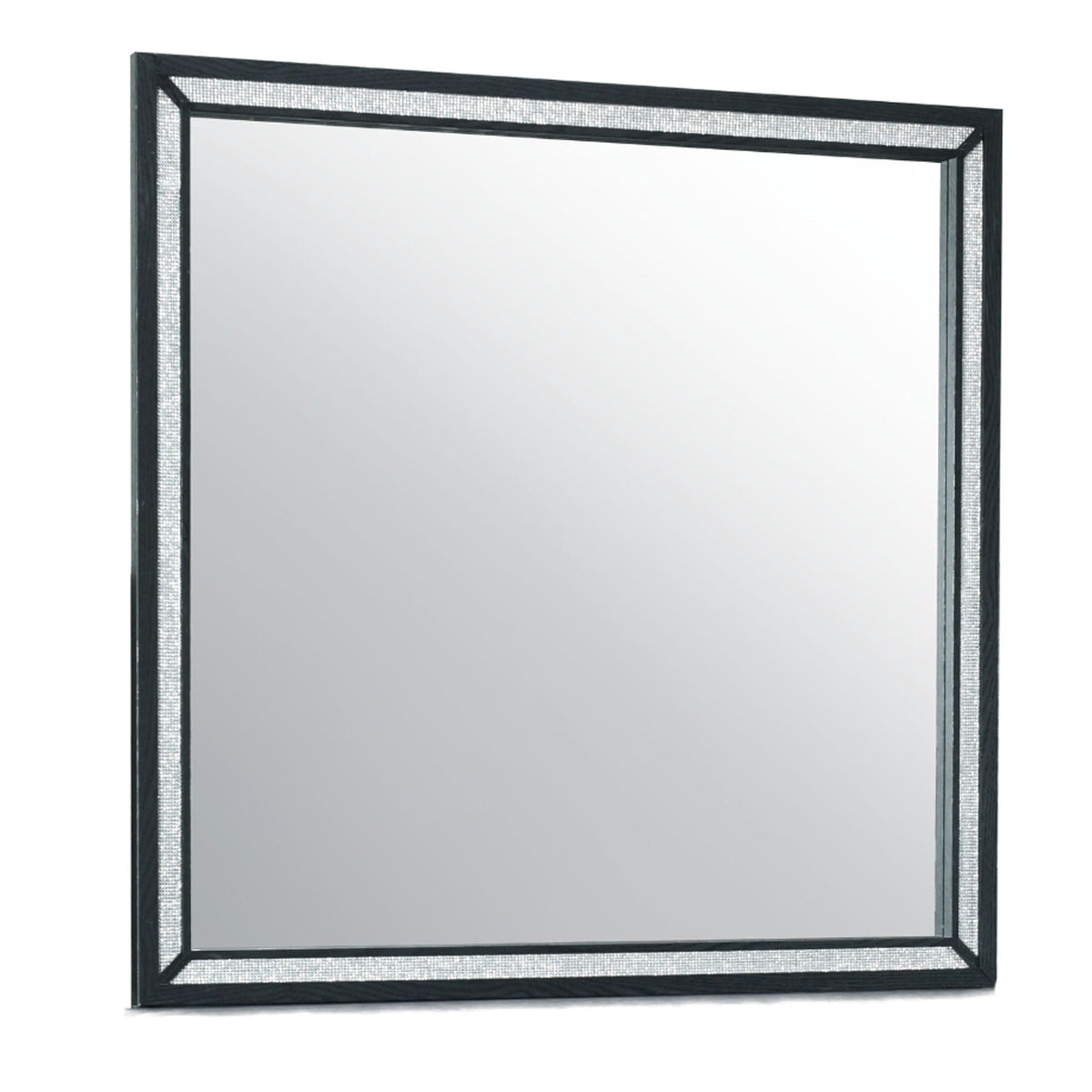 Black Modern Mirror with Large Scale - Carlos