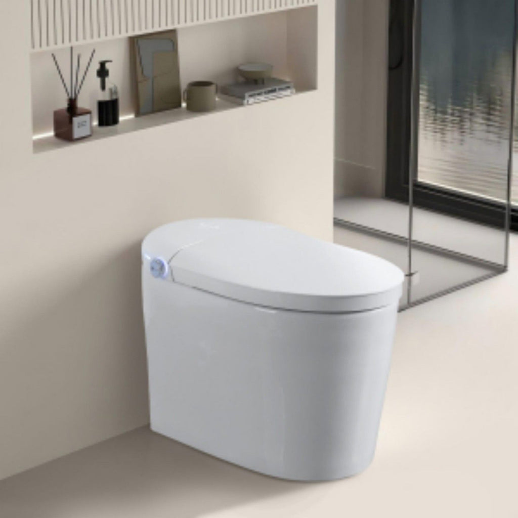 Tankless Smart Toilet With Bidet Built In