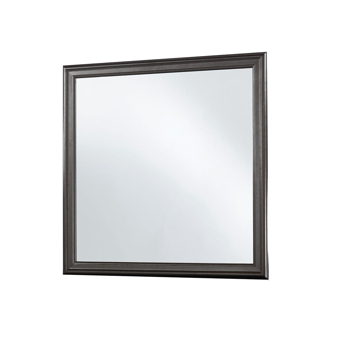 Crocodile Metallic Mirror with Beveled Glass - Dark Gray or White