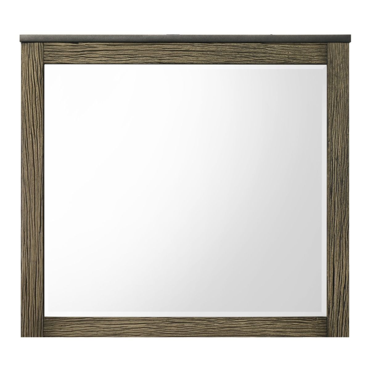 Lance - Mirror - Tree Bark
