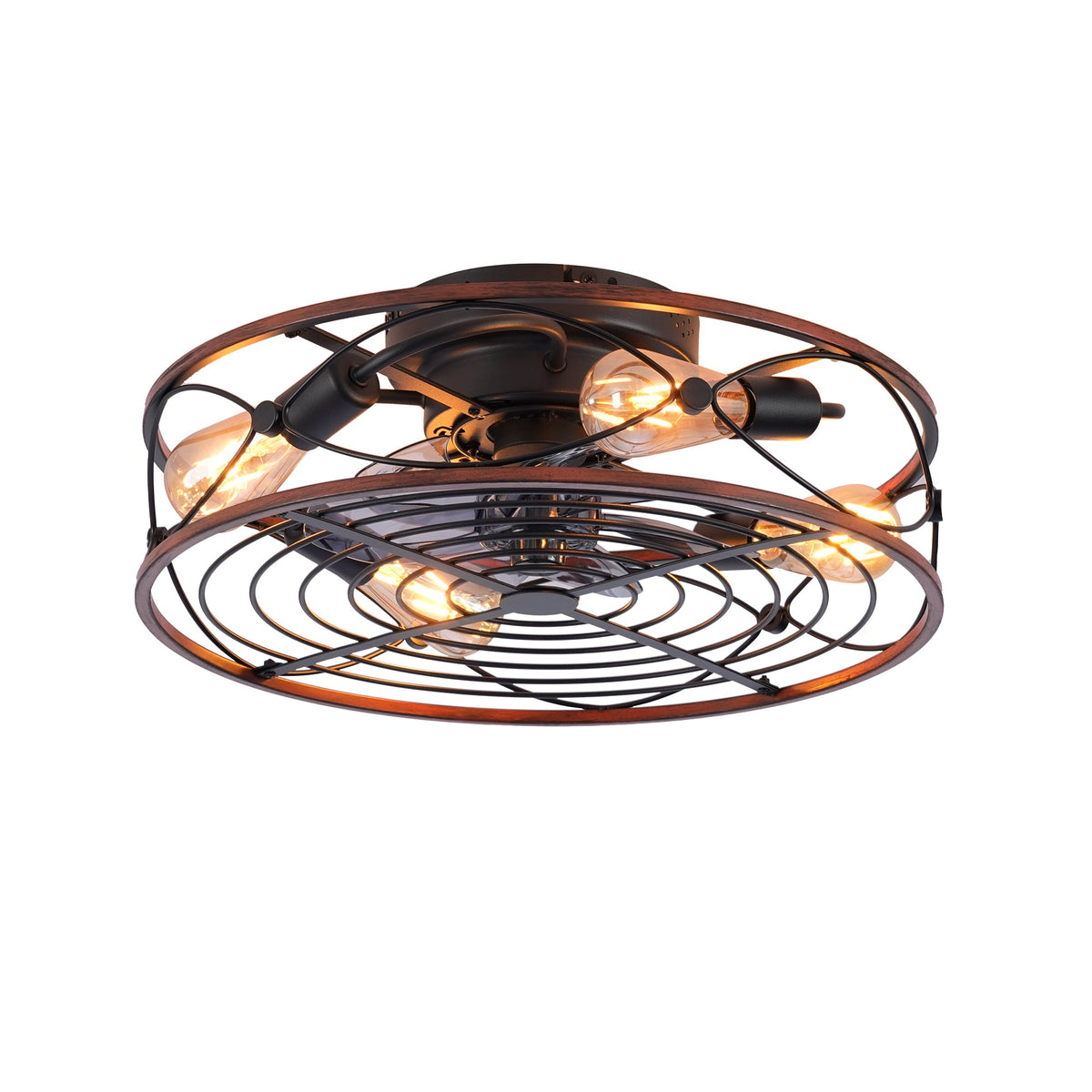 20'' Caged Ceiling Fan with Lights and Remote Control - Matte Black