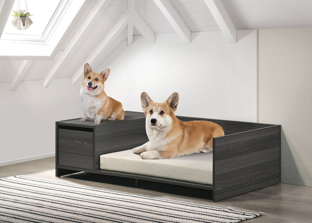Wide Comfy Pet Bed with Cushion and Side Storage Compartment - Ash Gray