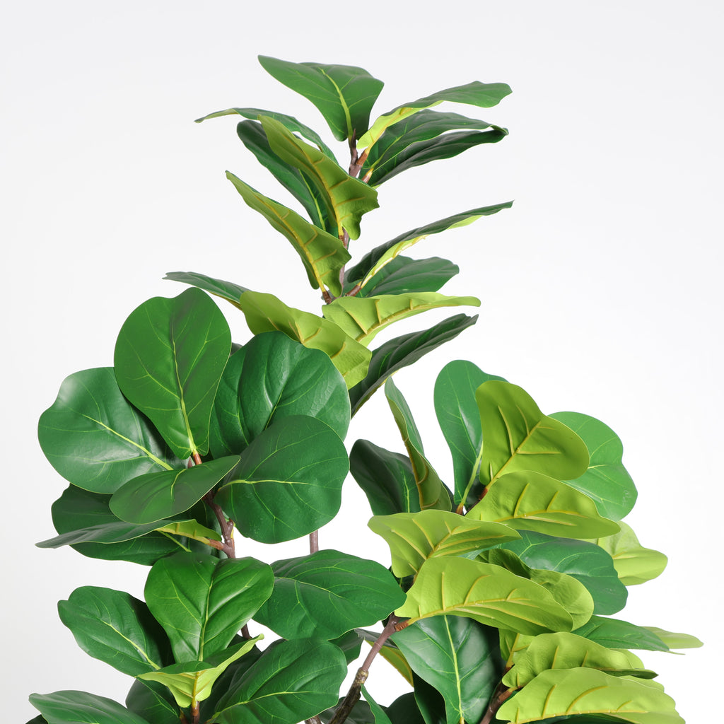 6FT Artificial Fiddle Leaf Fig Tree with White Decorative Pot - Green Leaves