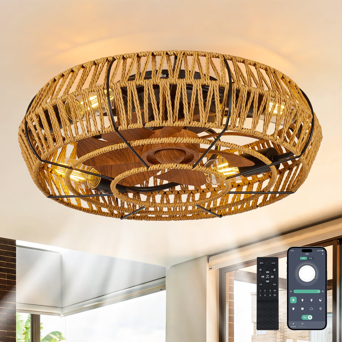 19" Caged Ceiling Fan with Light and Remote - Black
