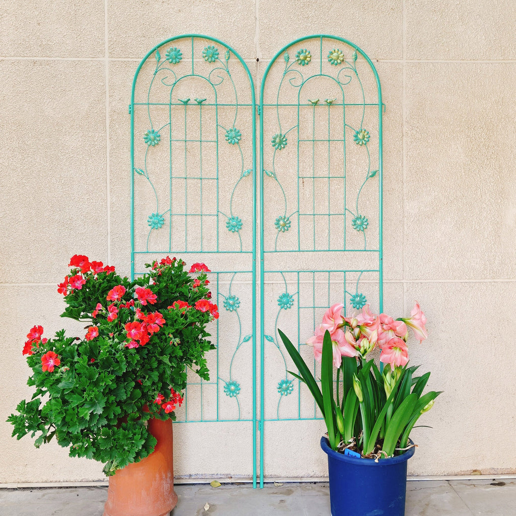 2 Pack Metal Garden Trellis with Rustproof Plant Support - Green or Cream White