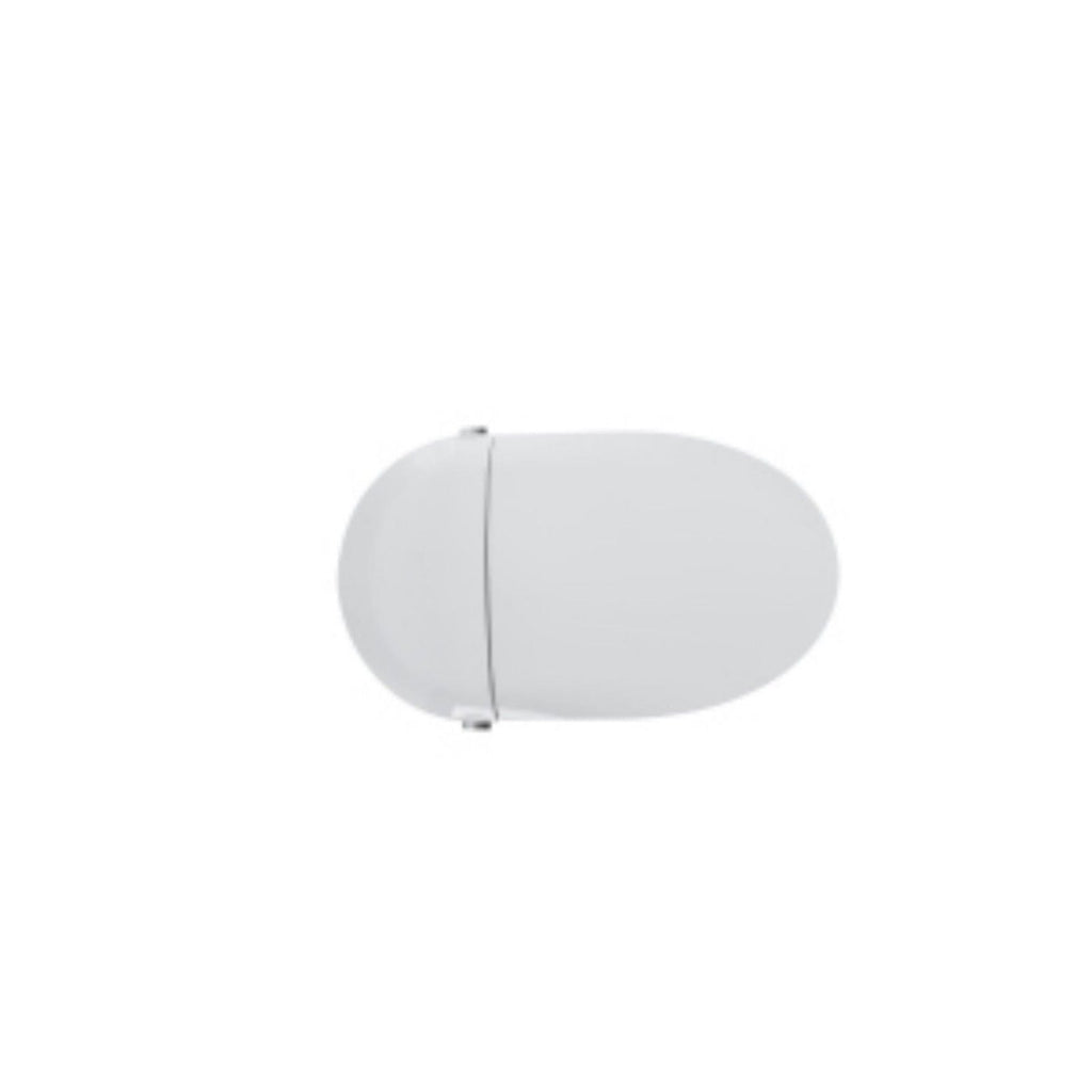 Tankless Smart Toilet With Bidet Built In