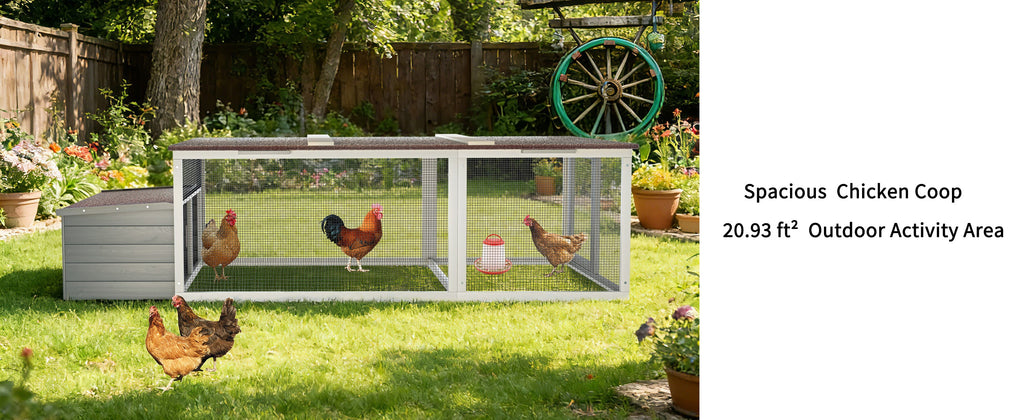 Large Chicken Coop with 20.93 Sq Ft Run - Wooden Outdoor Pen