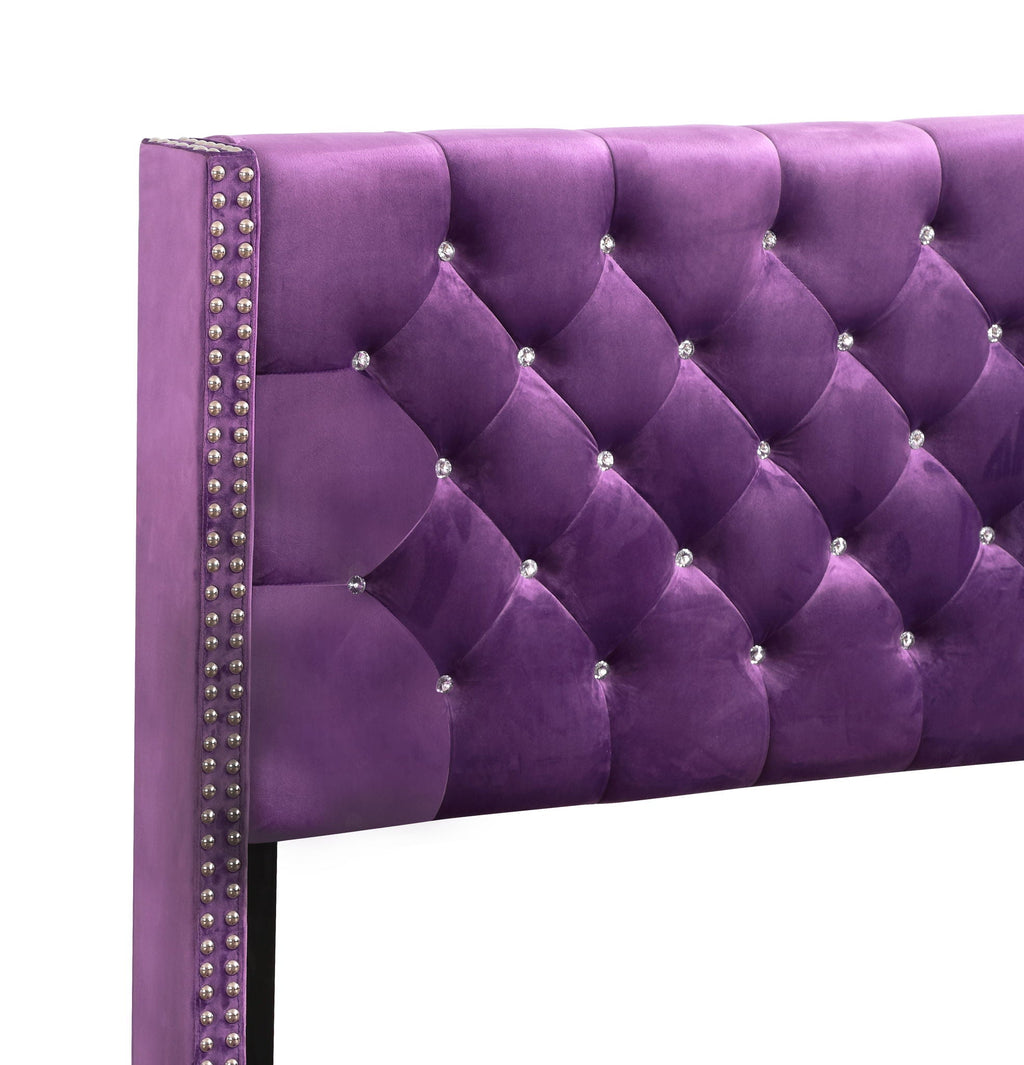 Upholstered Nailhead Trim Chic Bed with Tufted Headboard - Multiple Colors